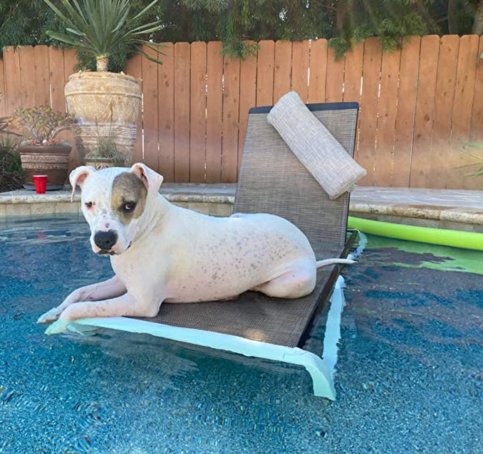 Outdoor Chaise Lounge